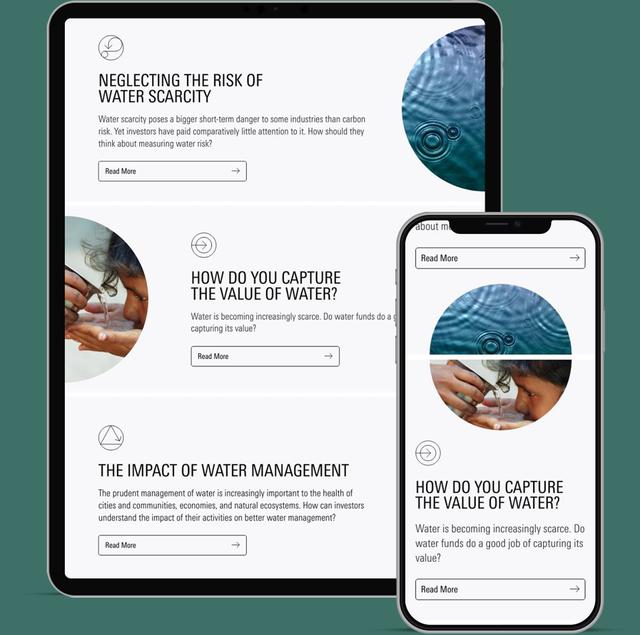 Investable World gallery image 3